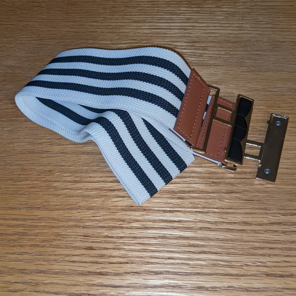 Belt - Picture 1 of 1